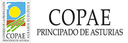 COPAE Principado de Asturias