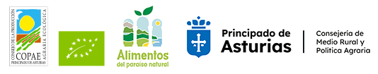 Logotipos COPAE Asturias
