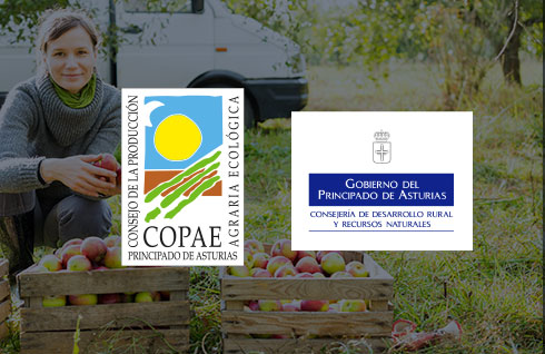 Logos COPAE