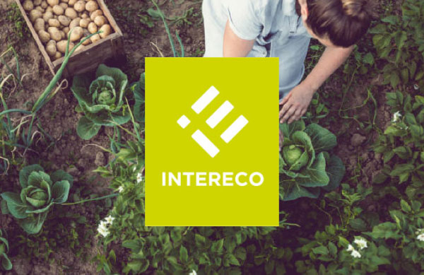 Intereco