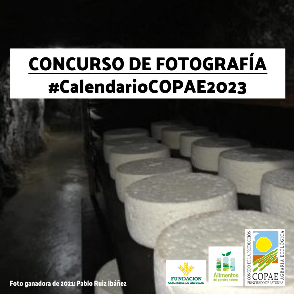 01_Imagen_concurso_redes