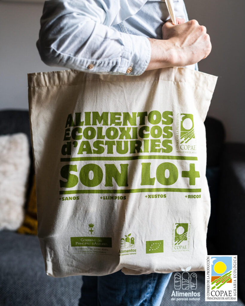 20210531 - Concurso bolsa del copae