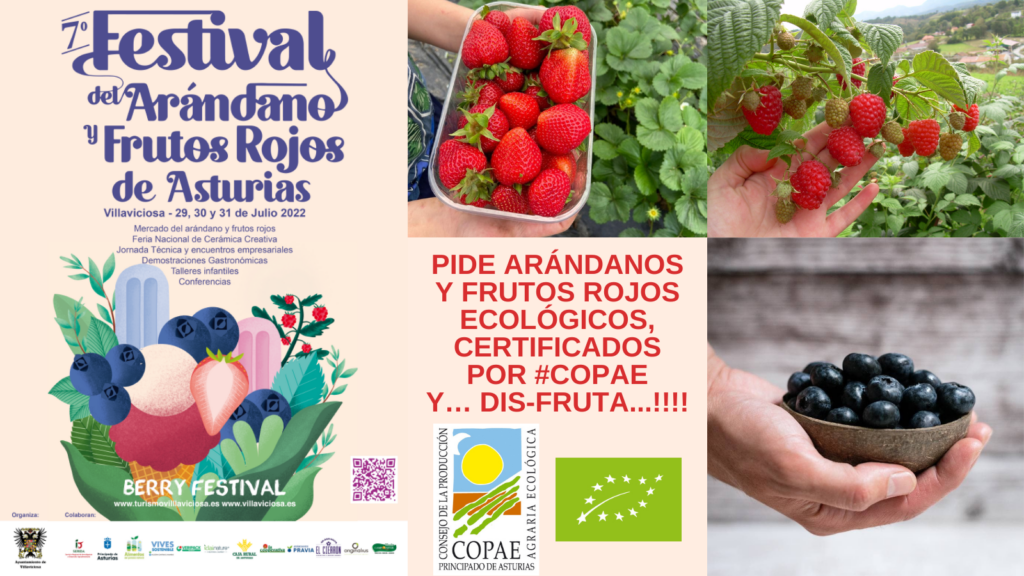 FRESA Y ARÁNDANOS Twitter