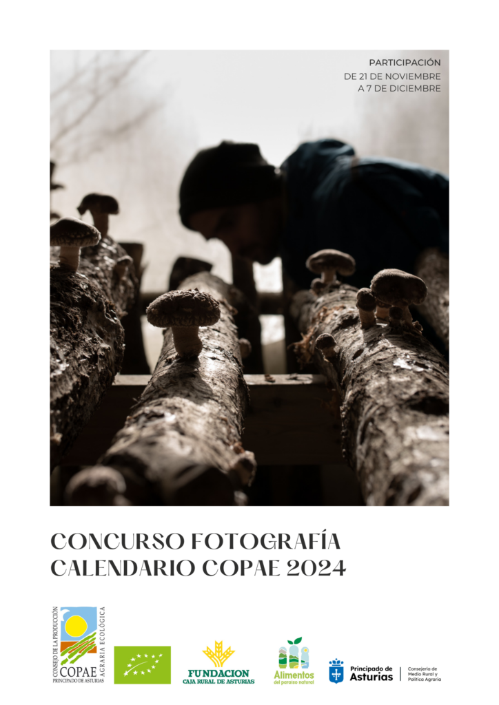 Póster concurso fotografía 2024