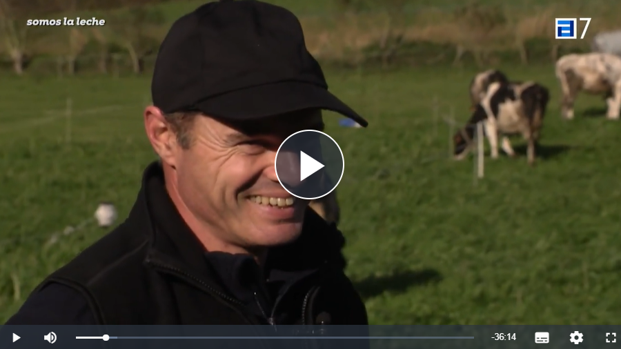 Reportaje sobre la leche ecológica asturiana de la TPA