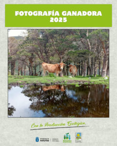 Fotografía ganadora COPAE 2025