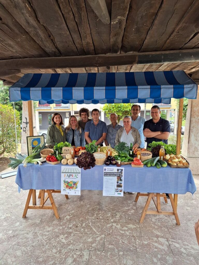 photo_5938116527142321290_y